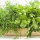 Продукты для здоровья костей
