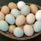Продукты для здоровья костей