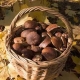 Продукты для здоровья костей
